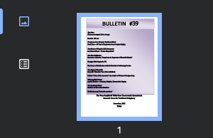 The left rail of Chrome's PDF viewer showing the original bulletin: two icons, one for page thumbnails and one for the document outline.